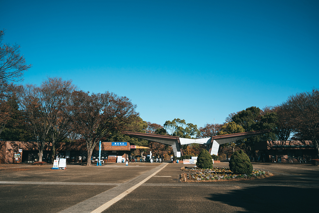 昭和紀念公園