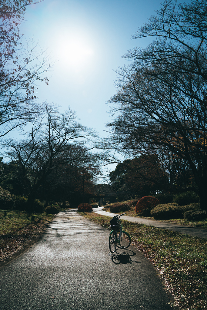 昭和紀念公園