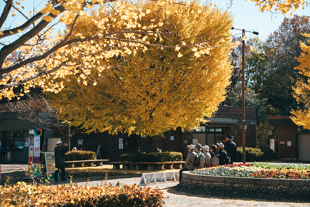 昭和紀念公園