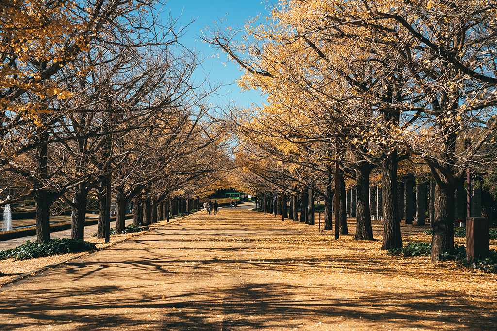 昭和紀念公園