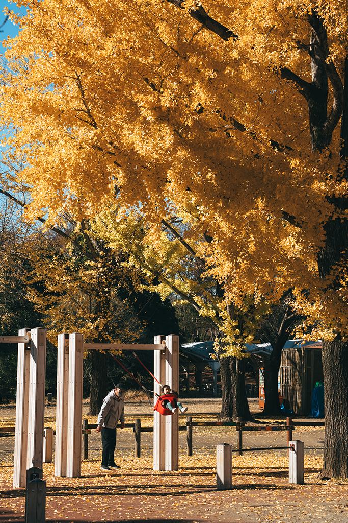 昭和紀念公園