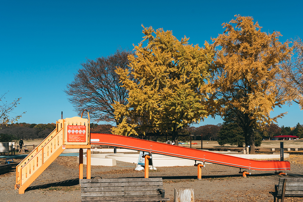 昭和紀念公園