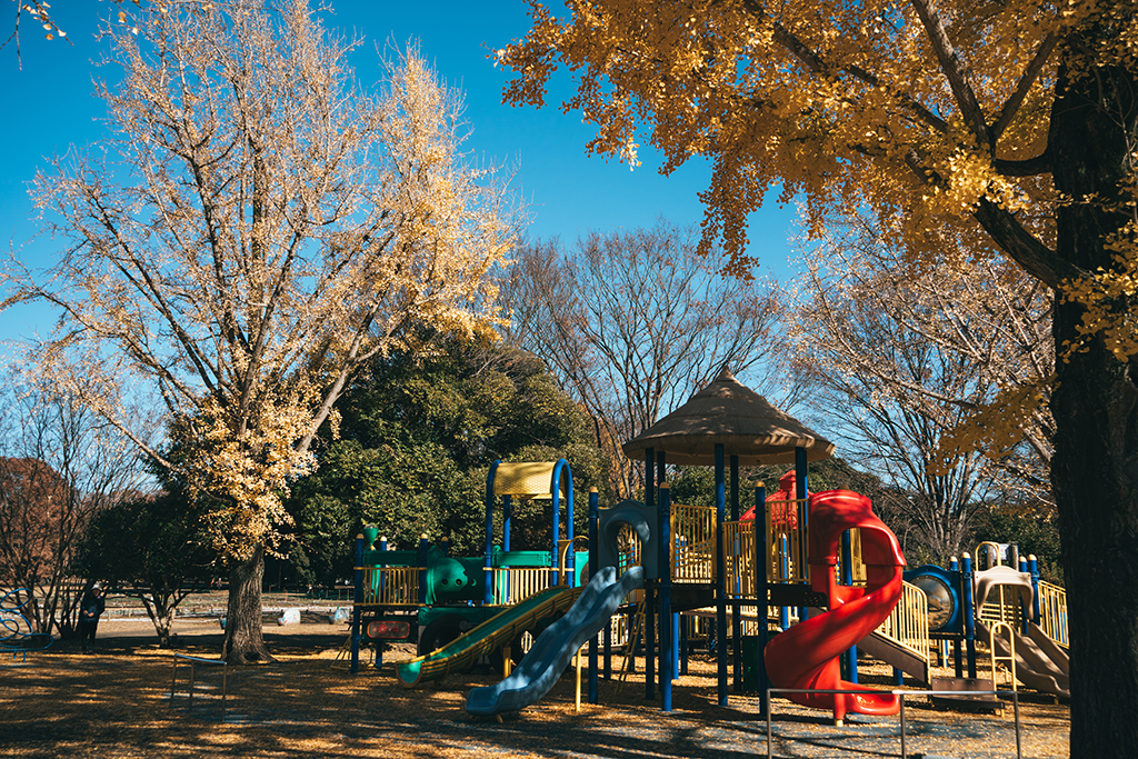 昭和紀念公園