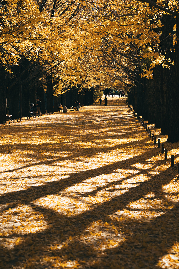 昭和紀念公園