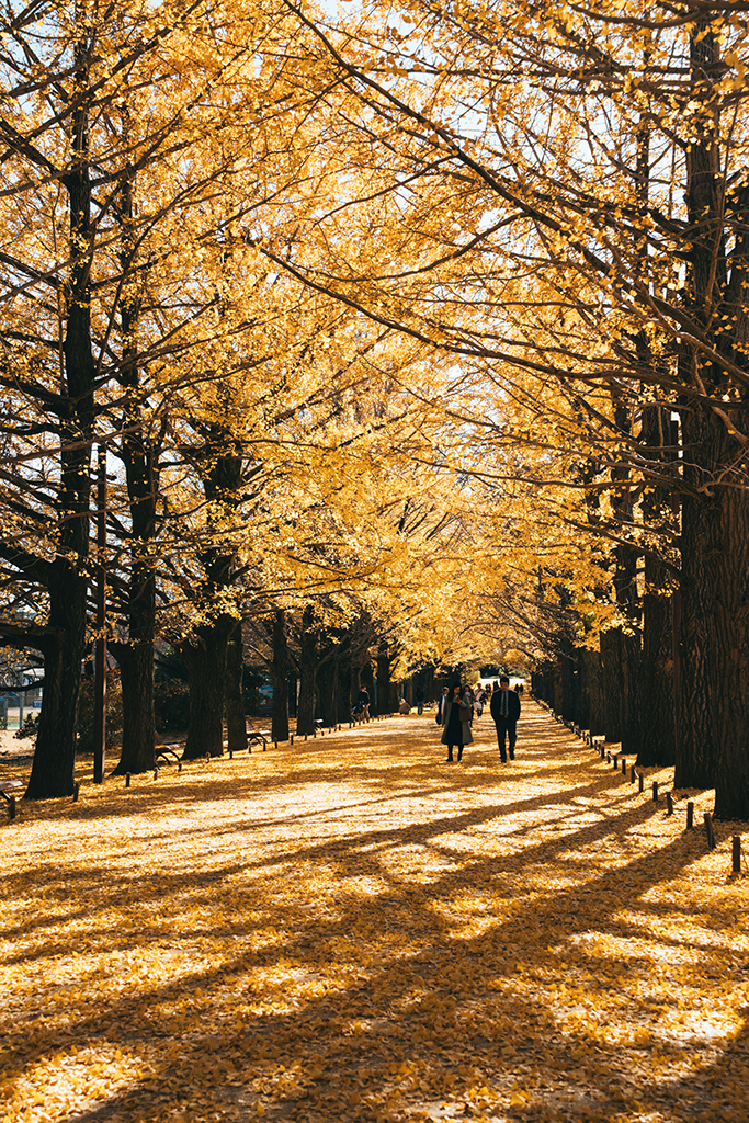 昭和紀念公園