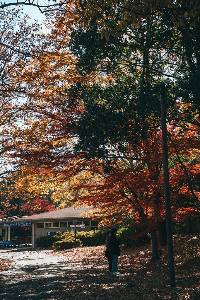 昭和紀念公園