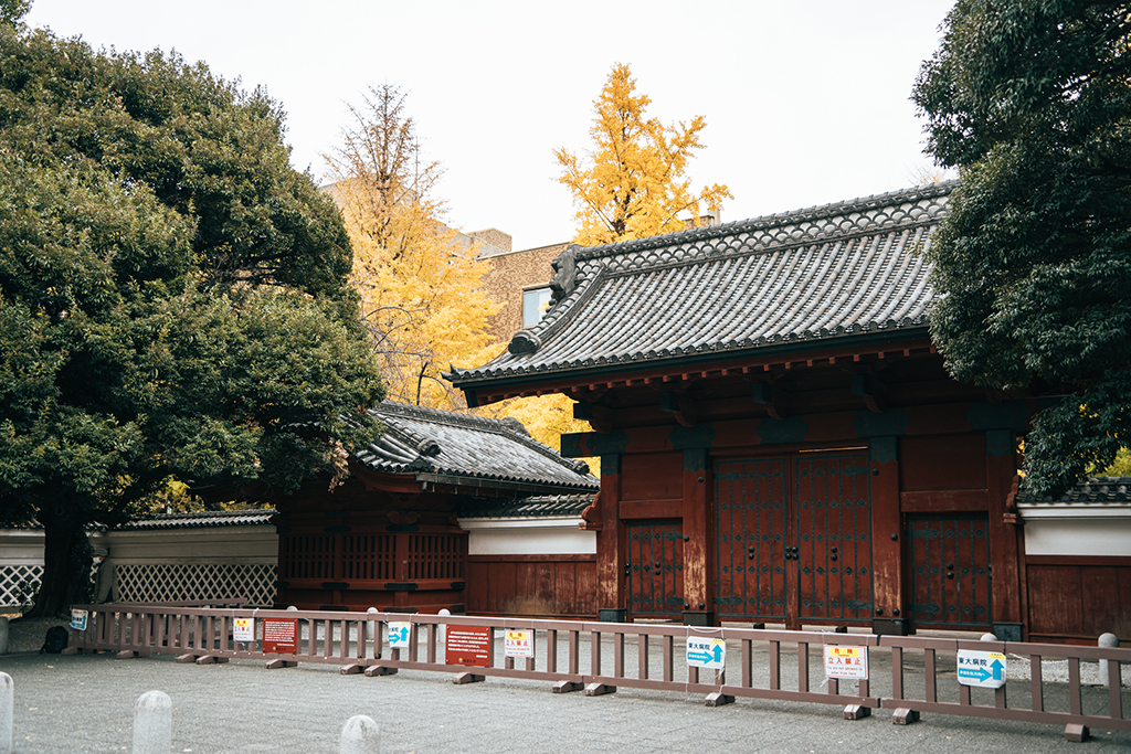 東京大學