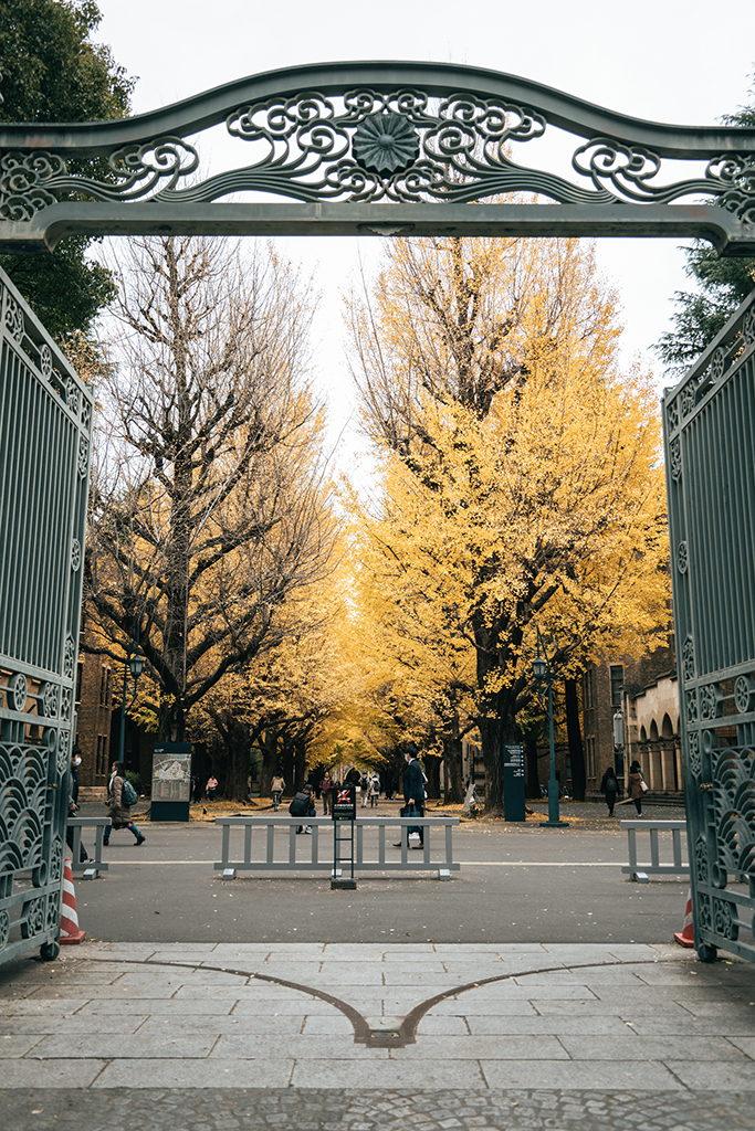 東京大學