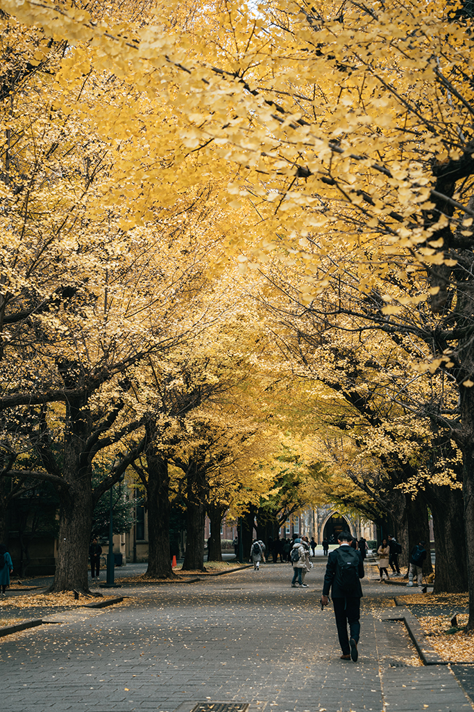 東京大學