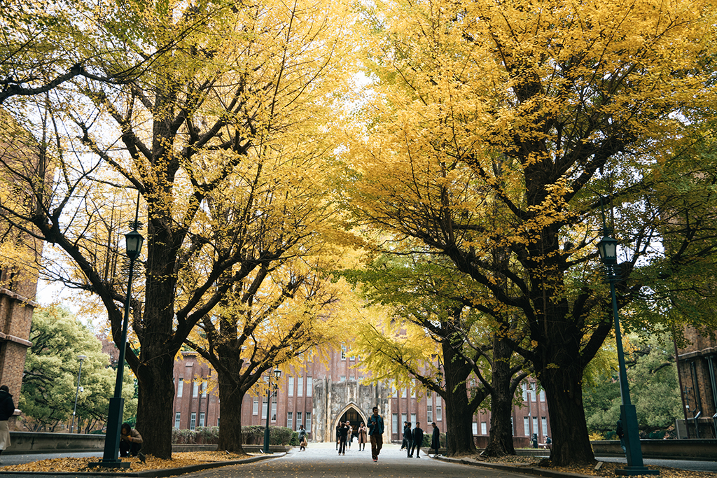 東京大學