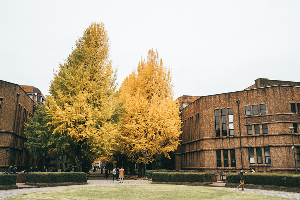 東京大學