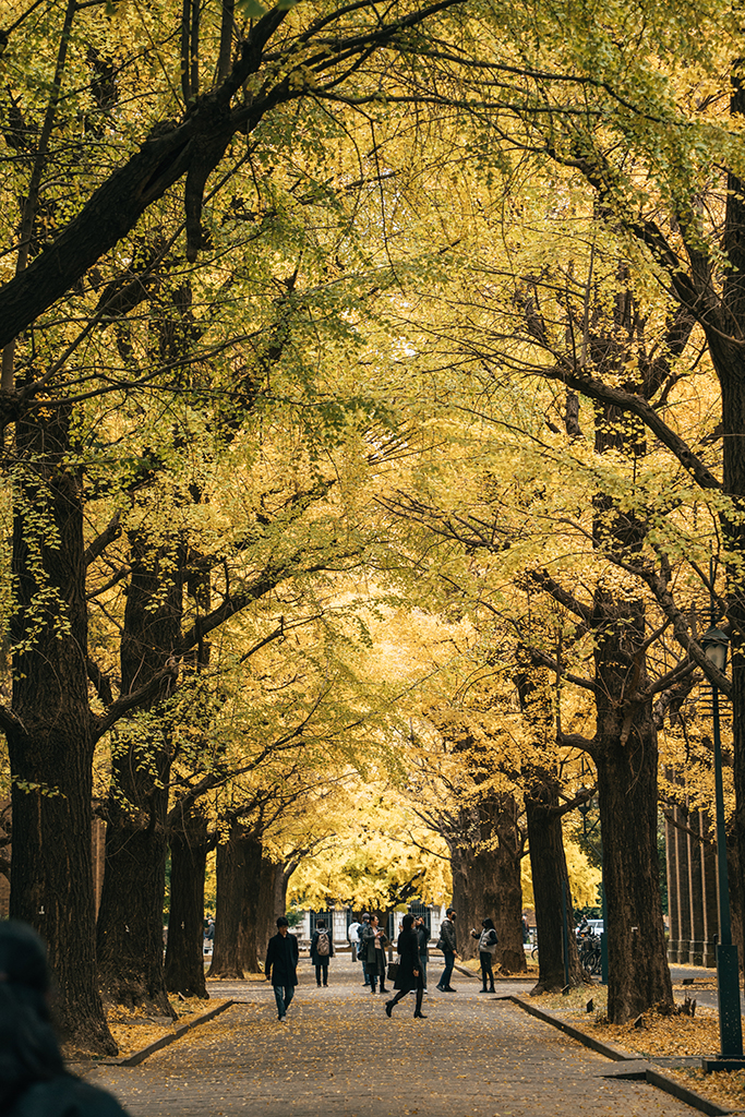 東京大學