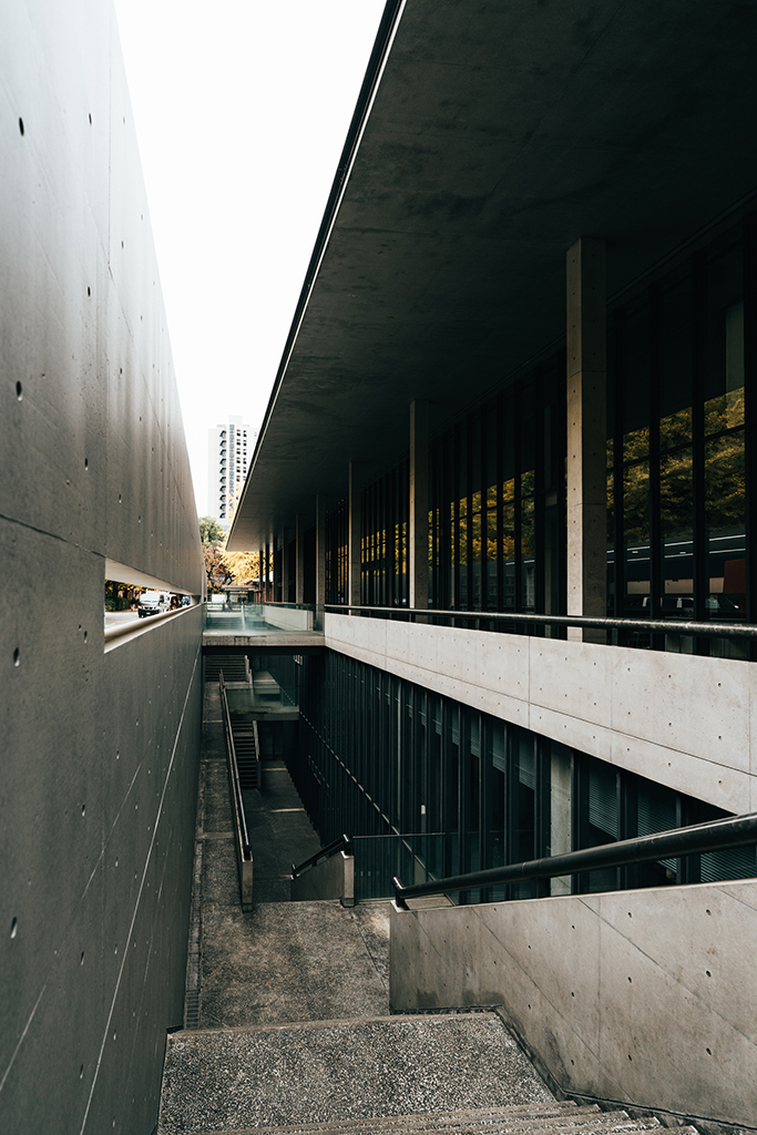 東京大學