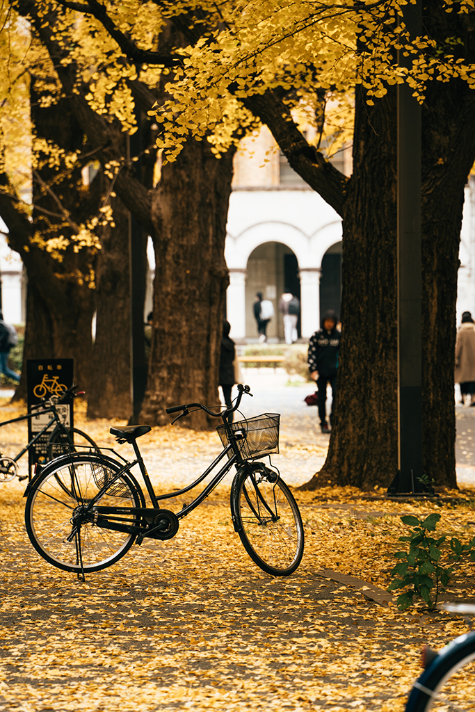 東京大學