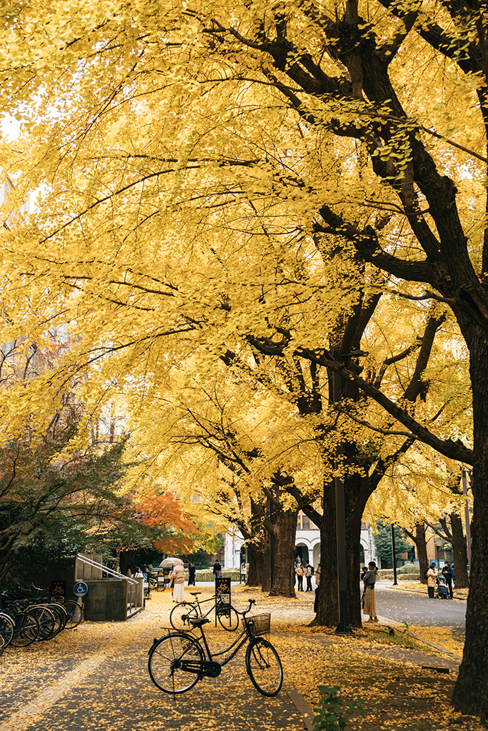 東京大學