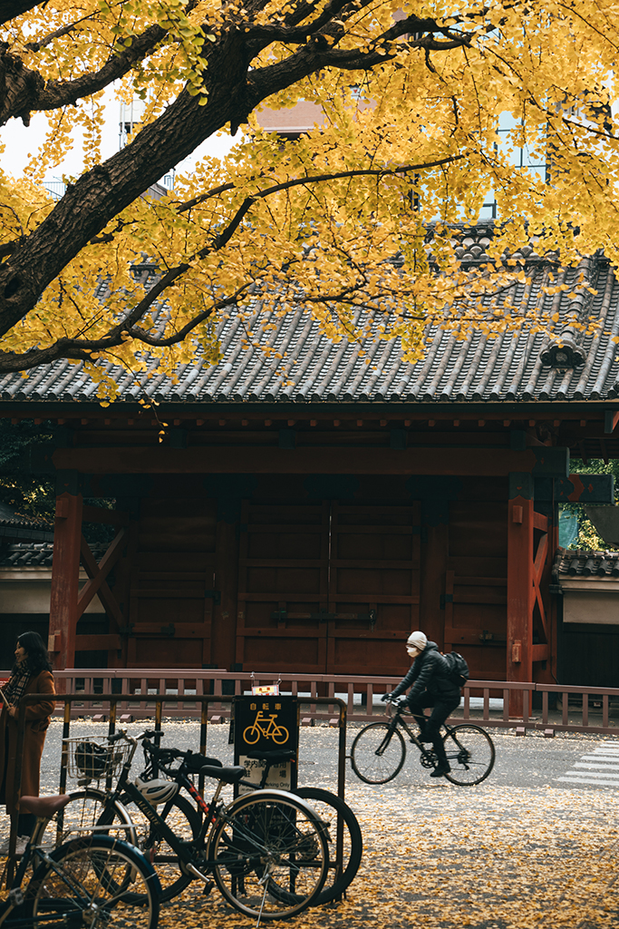 東京大學