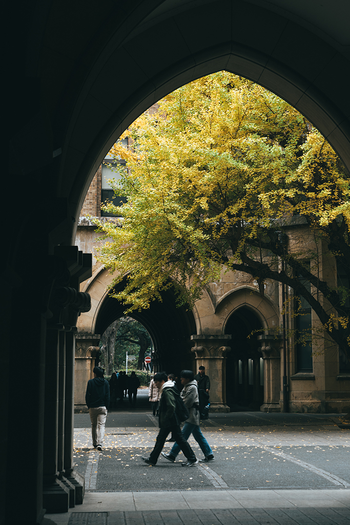 東京大學