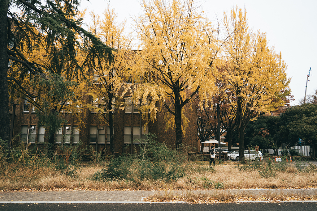 東京大學