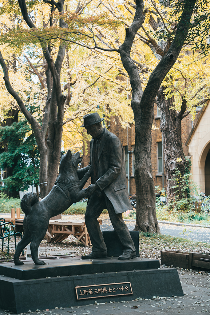 東京大學