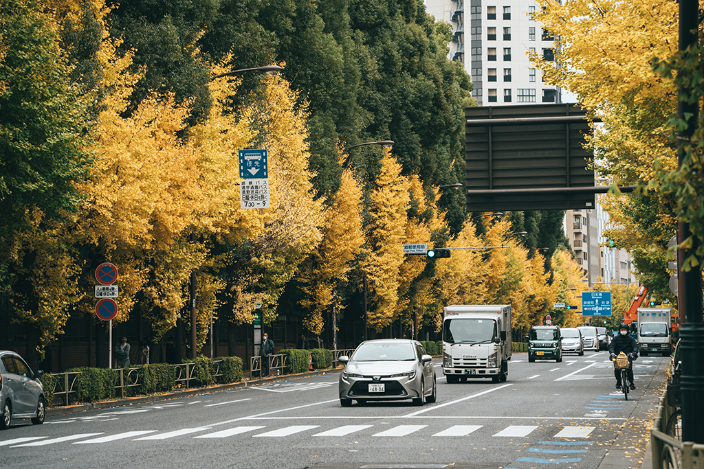 東京大學