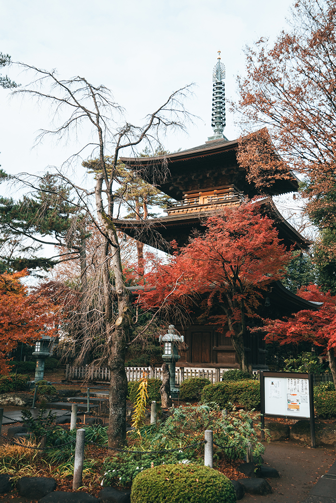 豪德寺