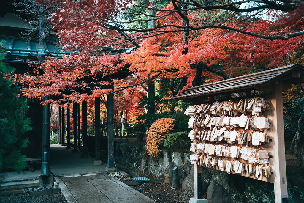 豪德寺