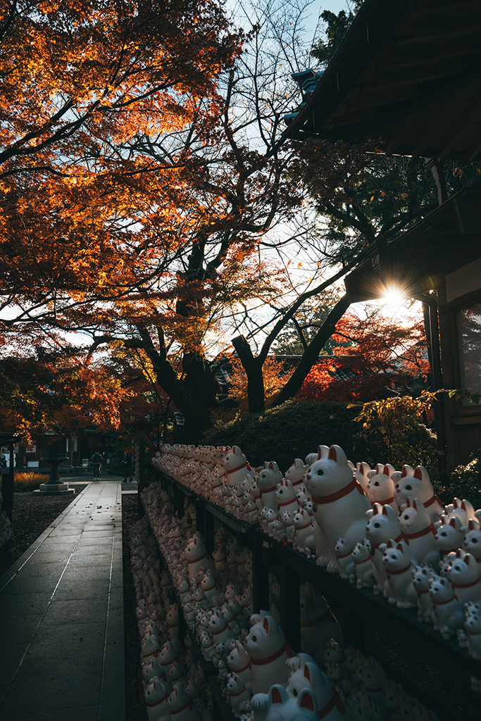 豪德寺